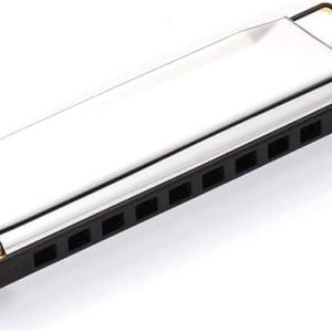 10 Holes 20 Tones Diatonic Harmonica Key of C with Blue Case,Rock w Case Stainless Steel Silver Color Diatonic Harmonica
